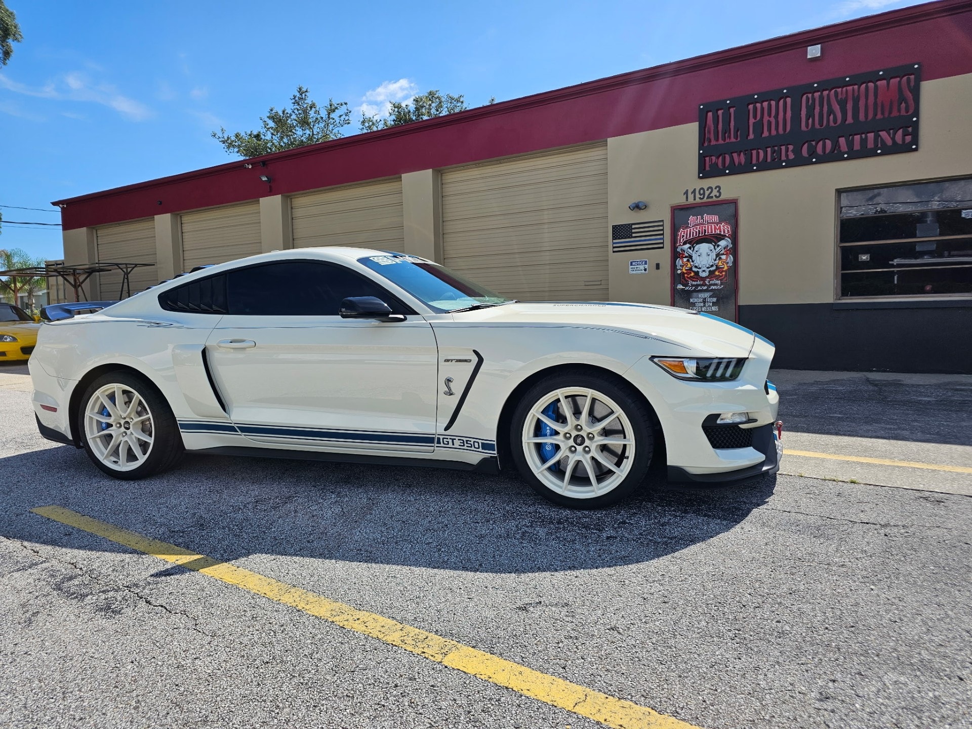 Shelby GT350 white and blue