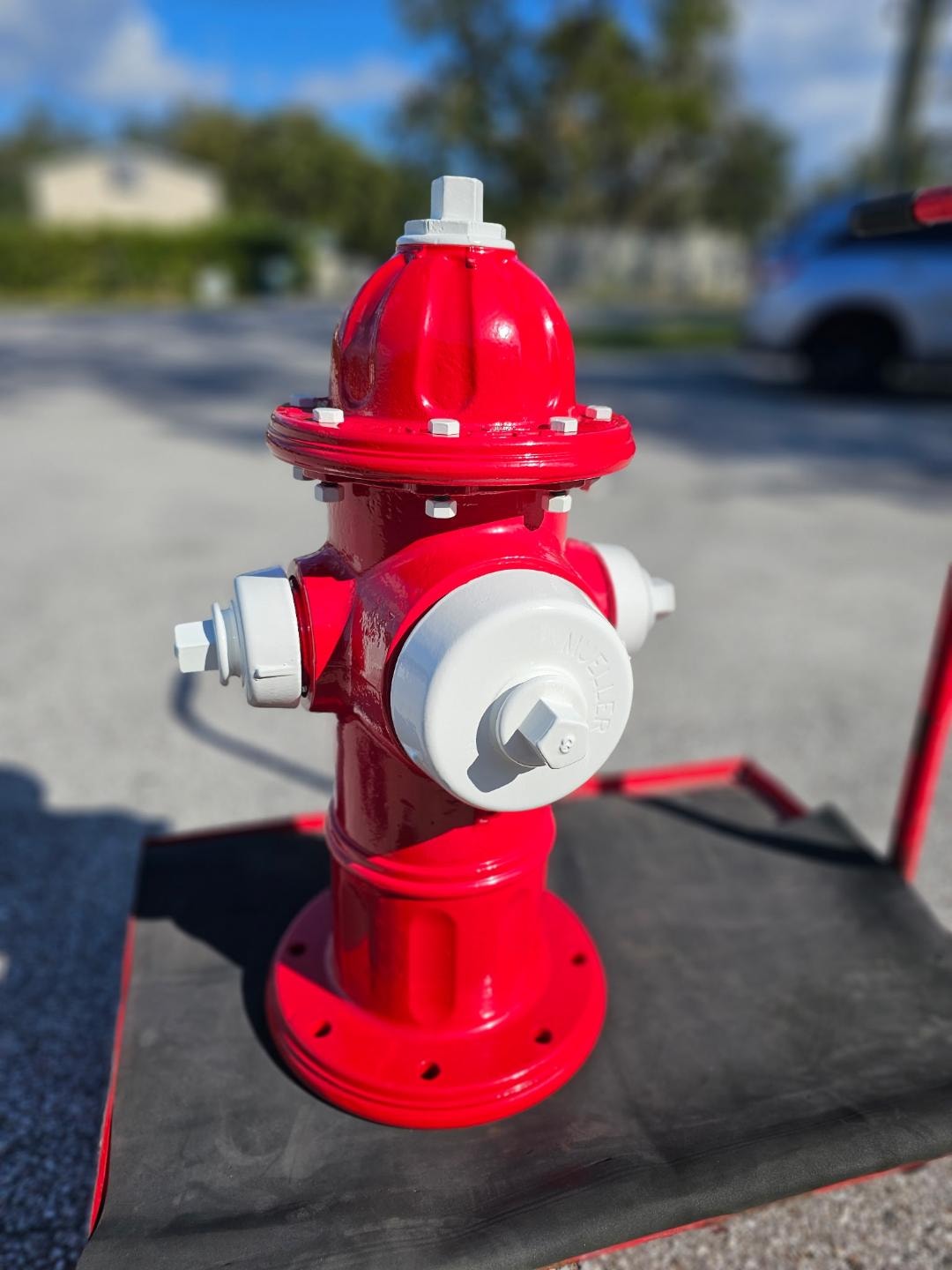 Powder coated fire hydrant
